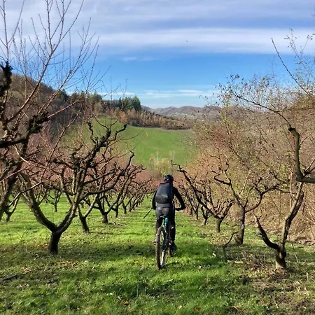 Granaja 乡村民宿 *