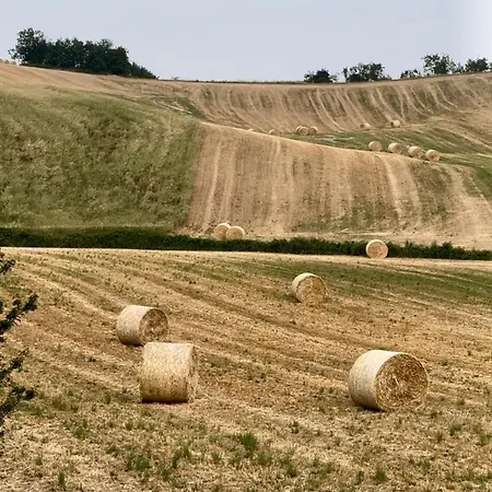 Granaja Εξοχικό σπίτι Solaro