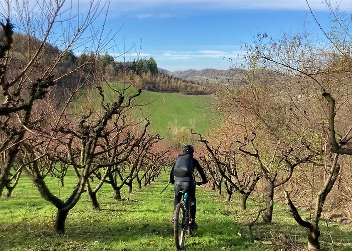 Granaja Casa di campagna *
