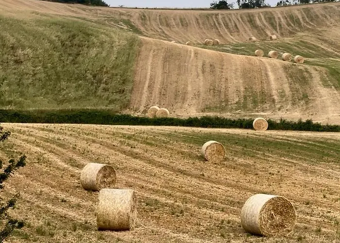 Granaja Casa di campagna Solaro