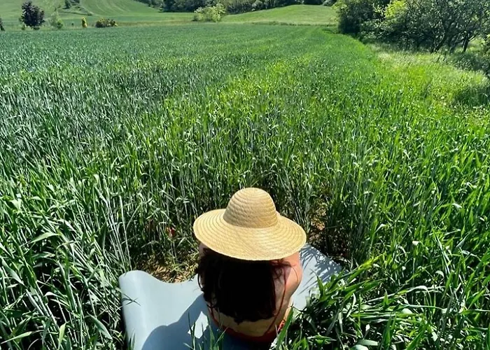Granaja Casa di campagna *